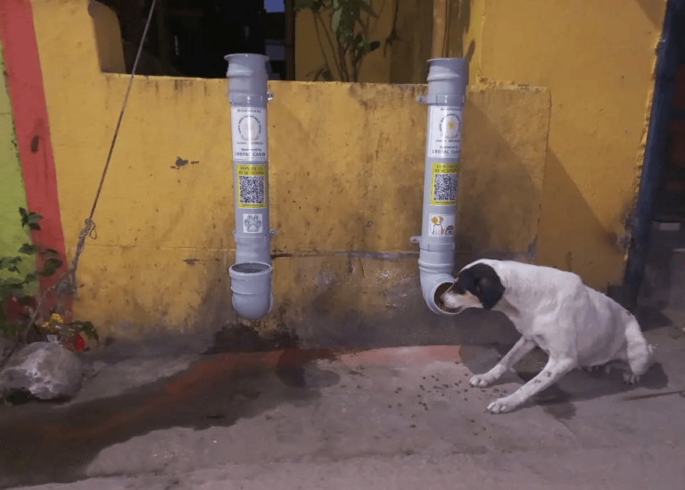 481675481 639411179036036 7864813777814912854 n