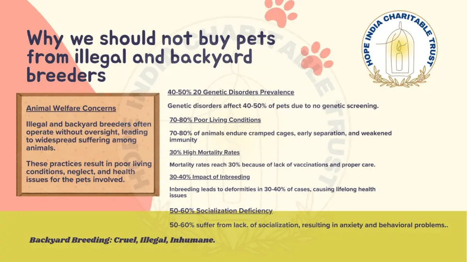 the impact of illegal and backyard pet breeding pages to jpg 0002