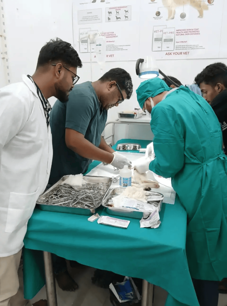 whatsapp image 2025 09 11 at 11.38.05 pm